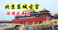 我想看一美女被多男调强奸的黄色视频中国北京-东城古宫旅游风景区